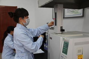 承德市多措并舉推進(jìn)農(nóng)產(chǎn)品綜合利用技術(shù)開發(fā)，賦能農(nóng)業(yè)綠色轉(zhuǎn)型與產(chǎn)業(yè)升級